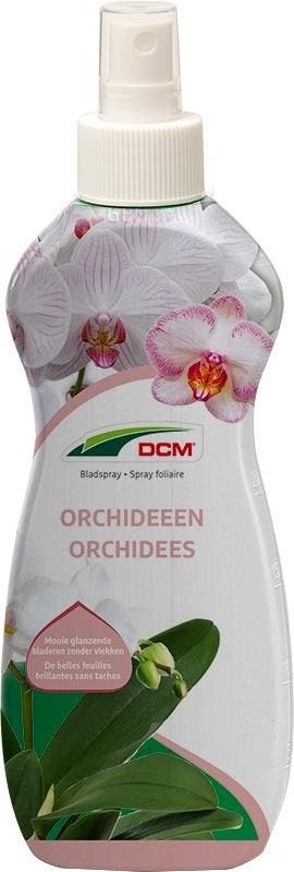 Bladspray Orchideeën (0,25 l), Ophalen of Verzenden