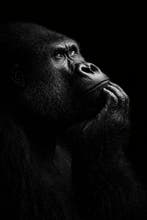 Tristan Mottier - Born to think - XL