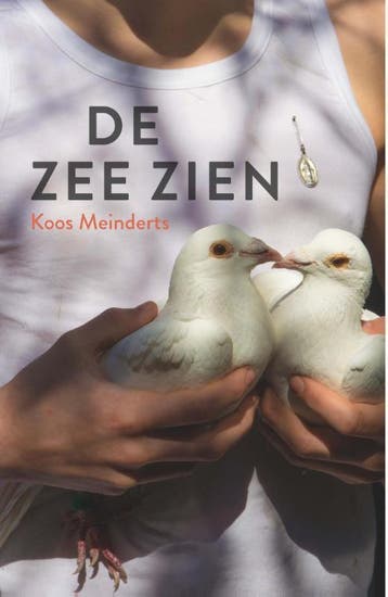 De zee zien - Koos Meinderts 9789026139130, Boeken, Verzenden, Zo goed als nieuw, Koos Meinderts