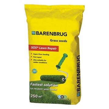 Graszaad herstel | Barenbrug | SOS Lawn Repair | 250 m², Tuin en Terras, Verzenden, Nieuw