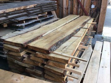 Eiken, beuken, populier, kastanje schaaldelen., Ophalen, Eiken, Nieuw, 250 tot 300 cm