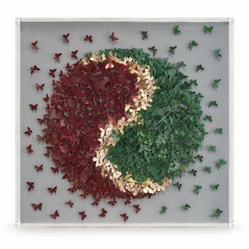 Mike Blackarts - Butterfly Wall Art – 3D Burgundy and Green