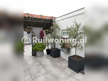 Flat in Honselersdijk ruilen voor Den Haag, Den Haag