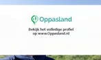 Lieke zoekt een oppas in Nijmegen voor 2 kinderen.