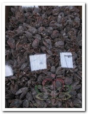 Bakuli Stone Wash 1 kilo, Ophalen of Verzenden, Nieuw