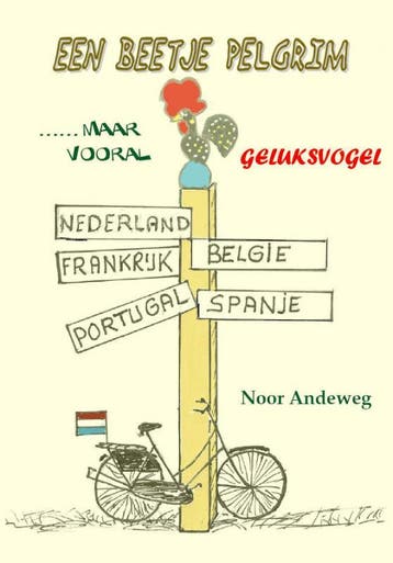 Een beetje Pelgrim - N. Andeweg 9789071343896, Verzenden, Gelezen, N. Andeweg