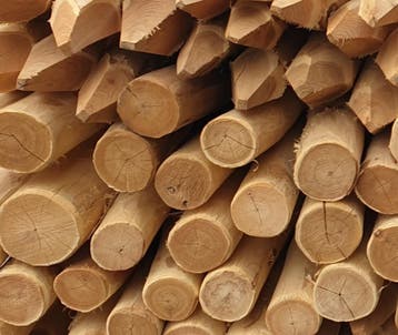 Robinia palen,  10/12 cm --- 200 / 250 / 300 cm, Doe-het-zelf en Verbouw, Hout en Planken, Nieuw, Overige houtsoorten, 50 mm of meer