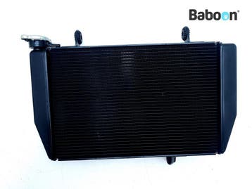 Radiateur Ducati Multistrada 950 S 2019-2021, Verzenden, Gebruikt