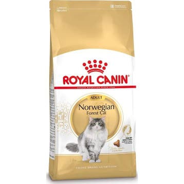 Royal Canin Norwegian Forest Kat 2 kg (Kattenvoer), Dieren en Toebehoren, Verzenden, Kat