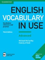 English Vocabulary in Use 9781316630068, Boeken, Studieboeken en Cursussen, Verzenden, Zo goed als nieuw