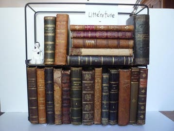 Divers auteurs - Lot T de 39 volumes demi-cuirs & cuirs.