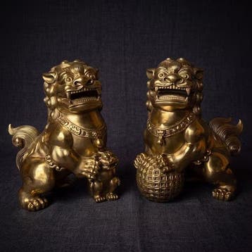 Paar Foo Dogs 21.5 cm / 4.3 kg - Brons - China