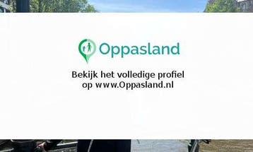 Ik ben ouissal, 27 jaar oud en ik zoek oppaswerk in Gorin...