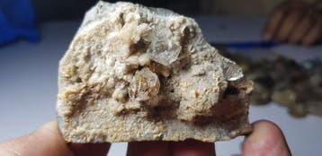 Florescent petroleum kwarts Mineralencollectie - Hoogte: 70