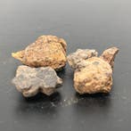 Pakket Diogenita NWA 14056 meteoriet van VESTA, asteroïde, -