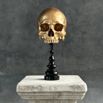 NO RESERVE PRICE - Stunning Replica Of Upper Human Skull on