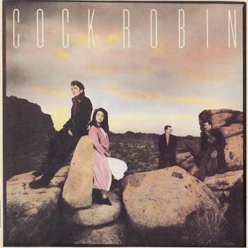 cd - Cock Robin - Cock Robin, Verzenden, Zo goed als nieuw