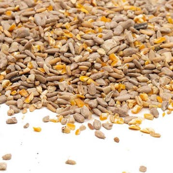Het beste strooivoer Premium Quality, Dieren en Toebehoren, Vogels | Toebehoren, Verzenden, Nieuw, Eten en Drinken