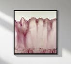 Serena Grassetti - Pigments Dream - Heart Edition #18