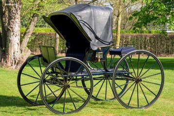 American Hooded Phaeton, Nieuw