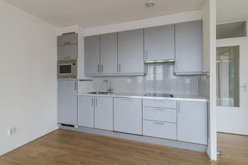 Te huur: Appartement Carolina van Nassaustraat in Den Haag, Den Haag, Appartement, Zuid-Holland
