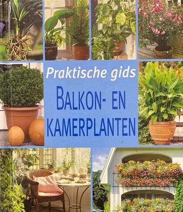 Praktische Gids - Rausch, Verzenden, Gelezen