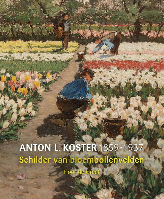 Anton Koster 9789462621503 Floor de Graaf, Boeken, Kunst en Cultuur | Beeldend, Zo goed als nieuw, Verzenden