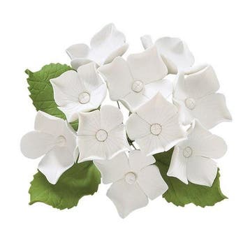 Suikerbloem Hortensia Wit 8,5 cm., Verzenden, Nieuw