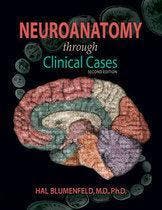 Neuroanatomy Through Clinical Cases 9780878930586, Boeken, Studieboeken en Cursussen, Zo goed als nieuw