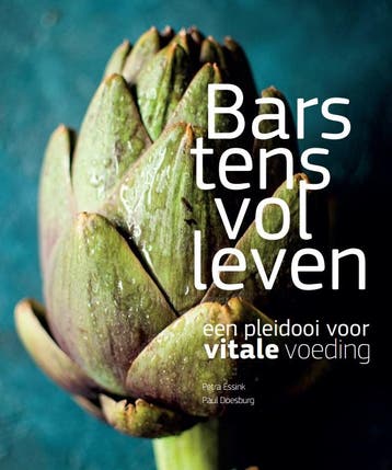Barstensvol leven - Paul Doesburg 9789060388082, Verzenden, Zo goed als nieuw, Paul Doesburg