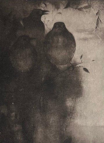 Jan Mankes (1889-1920) - Lijsters in avondstemming