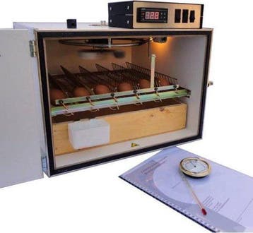MS50 broedmachine 50 eieren semi automatisch | €495, Verzenden, Nieuw