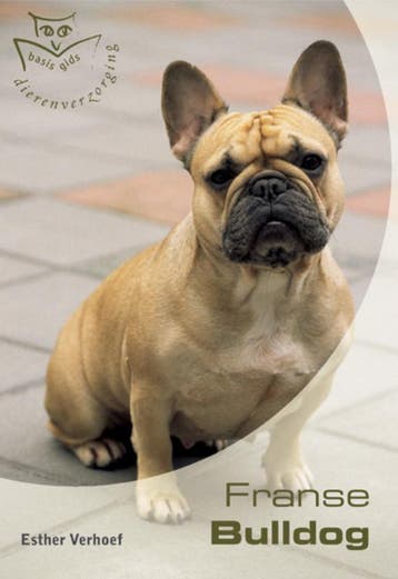 Franse Bulldog - Esther Verhoef 9789058410924, Verzenden, Gelezen, Esther Verhoef