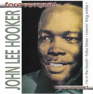 cd - John Lee Hooker - Im In The Mood, Verzenden, Zo goed als nieuw