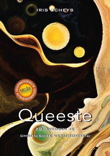 9789493071377 Ervaringsverhalen 4 - Queeste | Tweedehands, Verzenden, Zo goed als nieuw, Iris Scheys