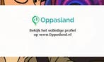 Jos zoekt een oppas in Arnhem voor 1 kind.