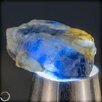 Natuurlijk ruwe saffier met intense blauwtinten - 76,30 ct,