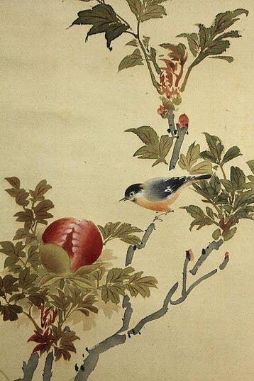 Kacho-zu  Peony bud and little bird - With signature and