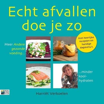 9789090272436 Echt afvallen doe je zo | Tweedehands, Boeken, Verzenden, Zo goed als nieuw, Harriet Verkoelen