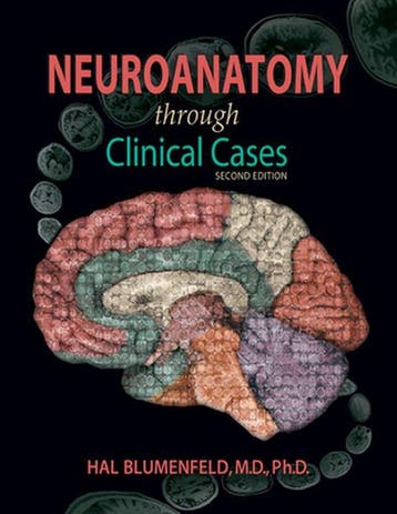 Boek Neuroanatomy Through Clinical Cases 9780878936137, Verzenden, Zo goed als nieuw