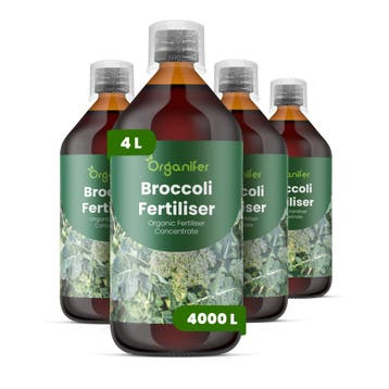 Vloeibare meststof voor broccoli - 4x1 liter, Verzenden, Mest