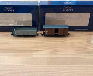 Liliput H0e - 294002, 249201 - Modeltrein goederenwagon (2), Nieuw