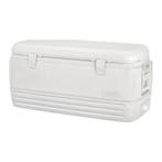 IGLOO Rigid Koelbox vanaf 100 Liter Polar 120, Ophalen of Verzenden, Nieuw, Zeilboot of Motorboot