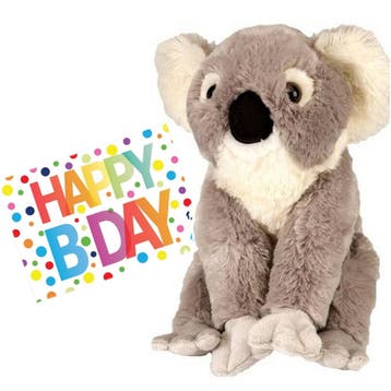 Koala knuffel - pluche - 30 cm - met verjaardagskaart, Verzenden, Nieuw