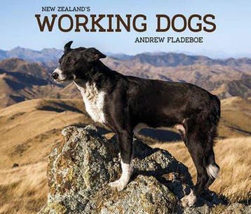 New Zealands Working Dogs - Andrew Fladeboe 9781927213483, Verzenden, Gelezen, Andrew Fladeboe