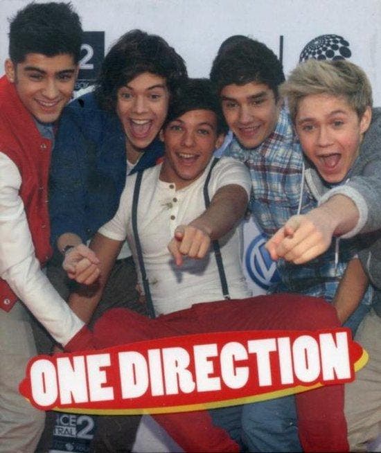 One Direction, Boeken, Literatuur, Ophalen of Verzenden