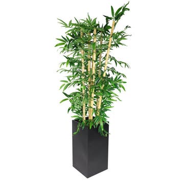 GGM Gastro | Kunstplant bambus - 210cm - met pot | PBTBTN, Verzenden, Nieuw in verpakking