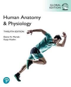 Human Anatomy & Physiology, Global Edition - Elaine Marieb, Verzenden, Gelezen, Elaine Marieb