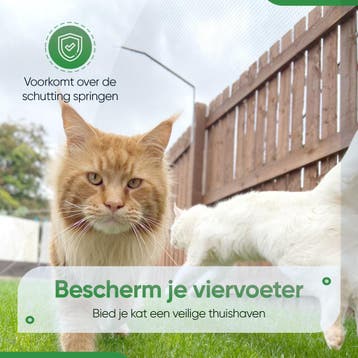 SPUUT Kattengaas 1x30 meter inclusief beugels - Voordeelset, Verzenden, Nieuw