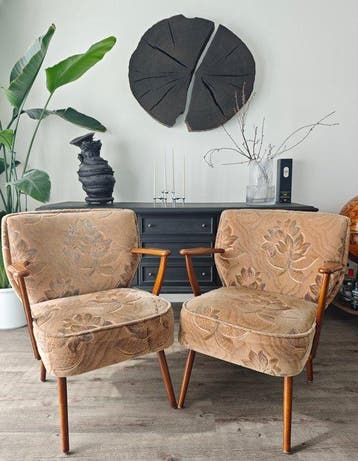 Lounge stoel - Katoen, Hout - Lounge-stoelensemble uit de